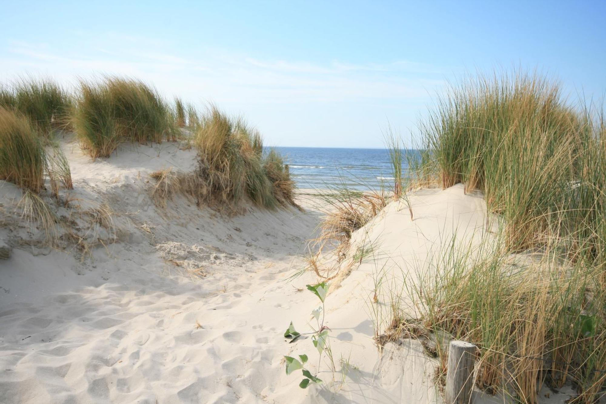 Schwalbe Seebad Casa vacanze
